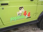 32